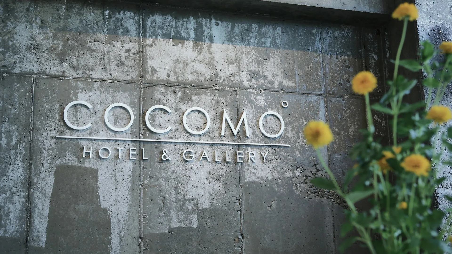 Hotel Cocomo Seoul